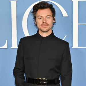 Harry Styles' Futuristic Look at My Policeman Premiere Is Serving Major Star Wars Vibes - E! Online