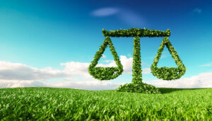 What are three important environmental laws?